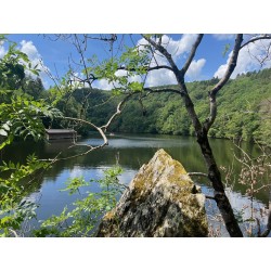 Kayaking along the Ourthe - Xplore